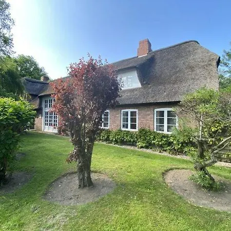 Holiday Moewennest Appartement